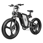 X20 Electric Bike (48v - 2000 Watt)