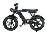 V8 Electric Bike (48v - 750 Watt)